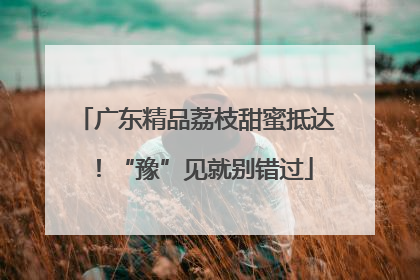 广东精品荔枝甜蜜抵达！“豫”见就别错过