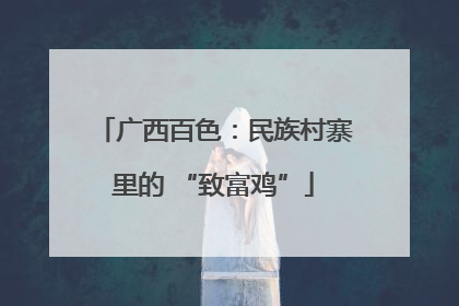广西百色：民族村寨里的 “致富鸡”