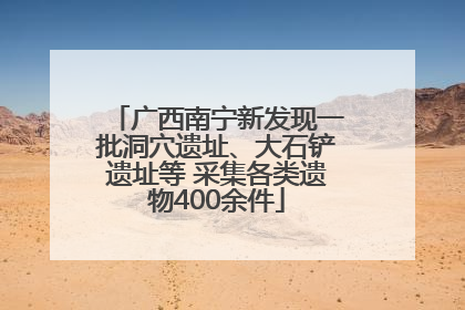 广西南宁新发现一批洞穴遗址、大石铲遗址等 采集各类遗物400余件