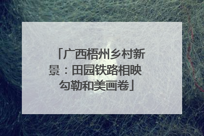 广西梧州乡村新景：田园铁路相映 勾勒和美画卷