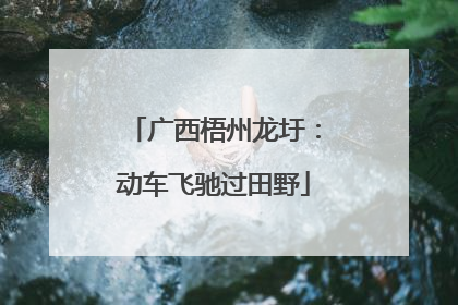 广西梧州龙圩：动车飞驰过田野
