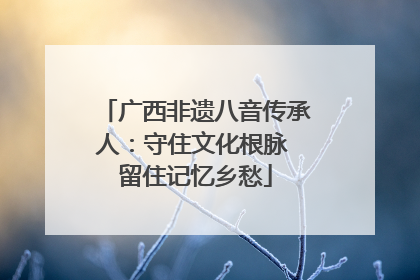 广西非遗八音传承人：守住文化根脉 留住记忆乡愁