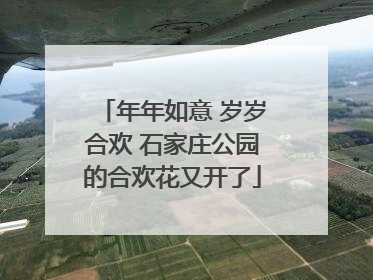 年年如意 岁岁合欢 石家庄公园的合欢花又开了