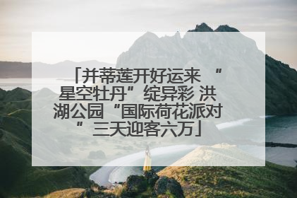 并蒂莲开好运来 “星空牡丹”绽异彩 洪湖公园“国际荷花派对”三天迎客六万