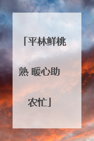 平林鲜桃熟 暖心助农忙