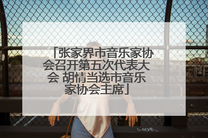 张家界市音乐家协会召开第五次代表大会 胡情当选市音乐家协会主席