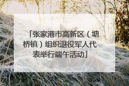张家港市高新区（塘桥镇）组织退役军人代表举行端午活动