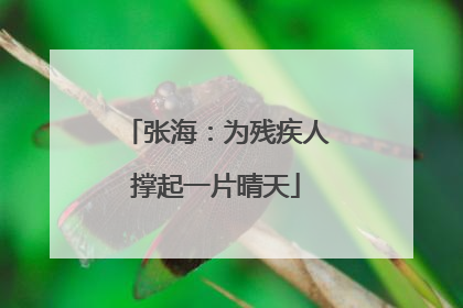 张海：为残疾人撑起一片晴天