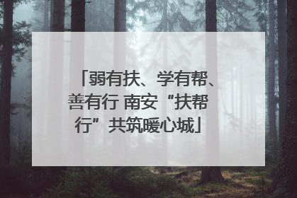 弱有扶、学有帮、善有行 南安“扶帮行”共筑暖心城
