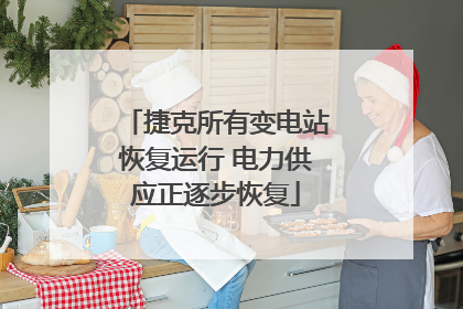 捷克所有变电站恢复运行 电力供应正逐步恢复