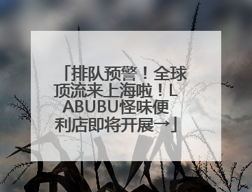 排队预警！全球顶流来上海啦！LABUBU怪味便利店即将开展→
