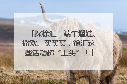 探徐汇｜端午遛娃、撒欢、买买买，徐汇这些活动超“上头”！