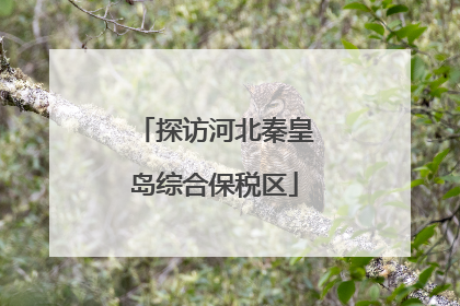 探访河北秦皇岛综合保税区