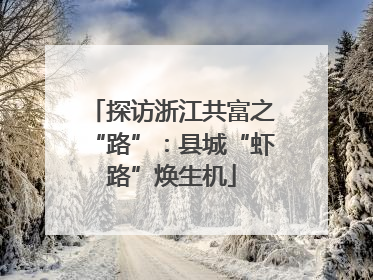 探访浙江共富之“路”：县城“虾路”焕生机