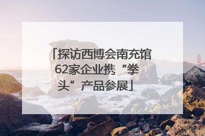 探访西博会南充馆 62家企业携“拳头”产品参展