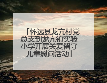怀远县龙亢村党总支到龙亢镇实验小学开展关爱留守儿童慰问活动