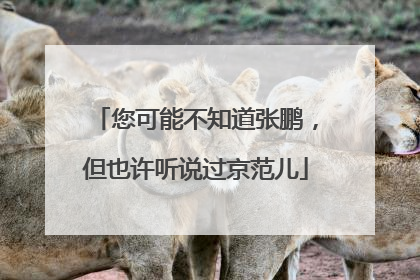 您可能不知道张鹏，但也许听说过京范儿