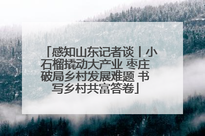 感知山东记者谈丨小石榴撬动大产业 枣庄破局乡村发展难题 书写乡村共富答卷