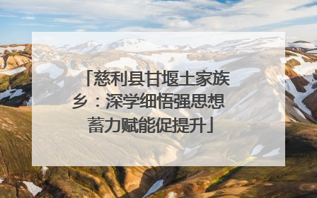慈利县甘堰土家族乡：深学细悟强思想 蓄力赋能促提升