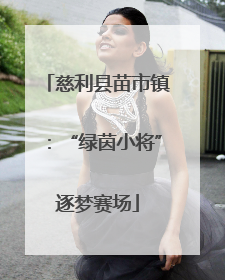 慈利县苗市镇：“绿茵小将”逐梦赛场
