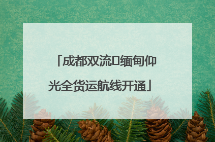成都双流⇌缅甸仰光全货运航线开通