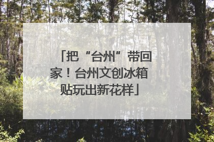把“台州”带回家！台州文创冰箱贴玩出新花样