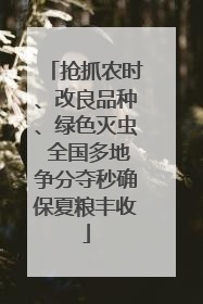 抢抓农时、改良品种、绿色灭虫 全国多地争分夺秒确保夏粮丰收