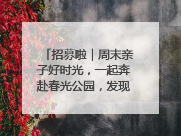 招募啦｜周末亲子好时光，一起奔赴春光公园，发现环上之美！