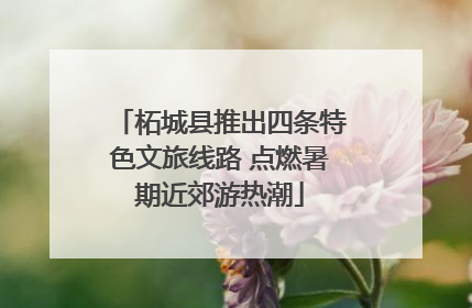 柘城县推出四条特色文旅线路 点燃暑期近郊游热潮