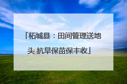 柘城县：田间管理送地头 抗旱保苗保丰收