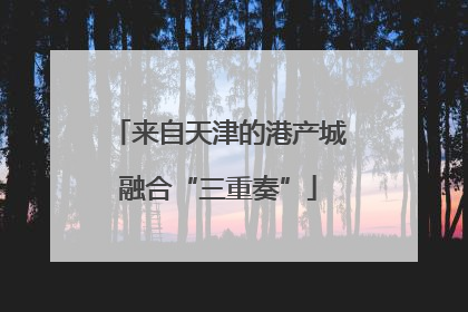 来自天津的港产城融合“三重奏”