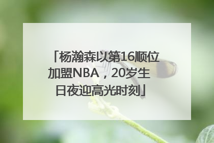 杨瀚森以第16顺位加盟NBA，20岁生日夜迎高光时刻