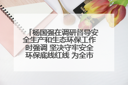 杨国强在调研督导安全生产和生态环保工作时强调 坚决守牢安全环保底线红线 为全市经济社会高质量发展提供坚强保障