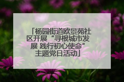 杨园街道欧景苑社区开展“寻根城市发展 践行初心使命”主题党日活动