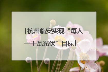 杭州临安实现“每人一千瓦光伏”目标