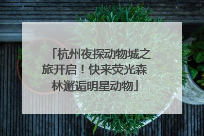 杭州夜探动物城之旅开启！快来荧光森林邂逅明星动物