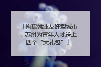 构建就业友好型城市，苏州为青年人才送上四个“大礼包”