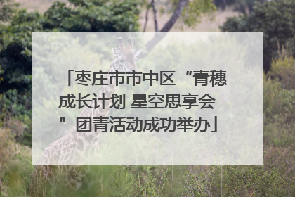 枣庄市市中区“青穗成长计划 星空思享会”团青活动成功举办