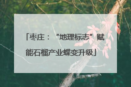 枣庄：“地理标志”赋能石榴产业蝶变升级