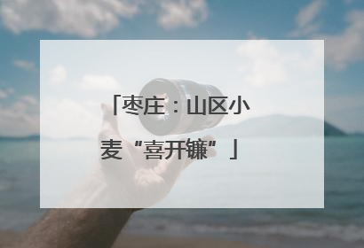 枣庄：山区小麦“喜开镰”