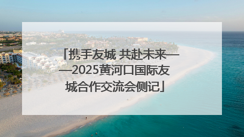 携手友城 共赴未来——2025黄河口国际友城合作交流会侧记