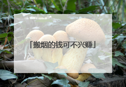 搬烟的钱可不兴赚
