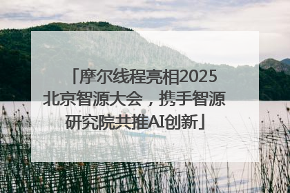 摩尔线程亮相2025北京智源大会，携手智源研究院共推AI创新
