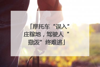 摩托车“误入”庄稼地，驾驶人“撒泼”终难逃