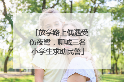 放学路上偶遇受伤夜鹭，聊城三名小学生求助民警