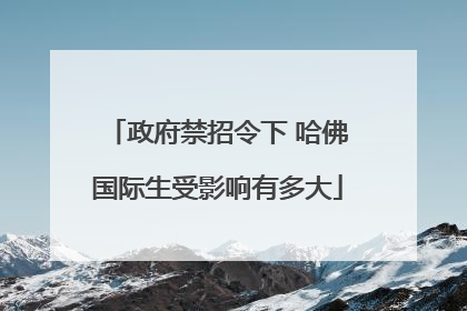 政府禁招令下 哈佛国际生受影响有多大