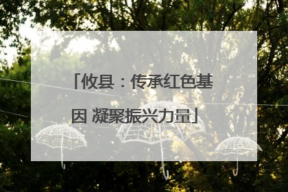 攸县：传承红色基因 凝聚振兴力量