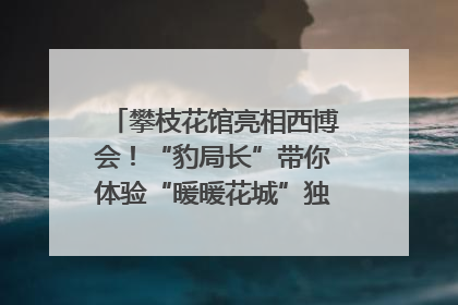 攀枝花馆亮相西博会！“豹局长”带你体验“暖暖花城”独特魅力｜西博视界