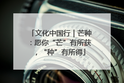文化中国行｜芒种：愿你“芒”有所获，“种”有所得