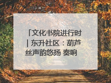 文化书院进行时｜东升社区：葫芦丝声韵悠扬 奏响文化和谐曲